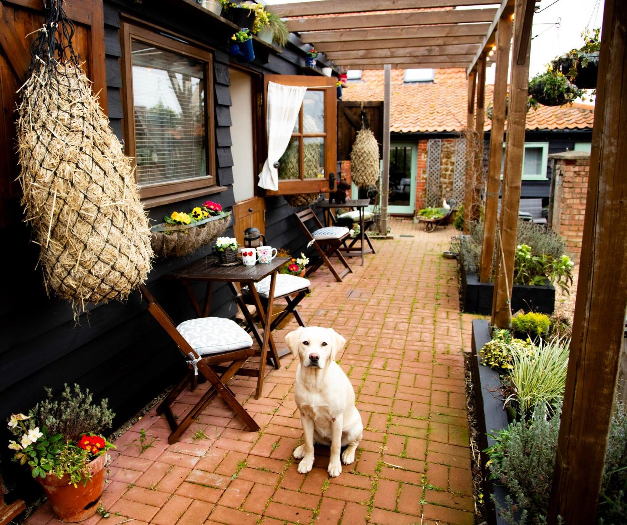 Norfolk Accommodation Хийчам Екстериор снимка