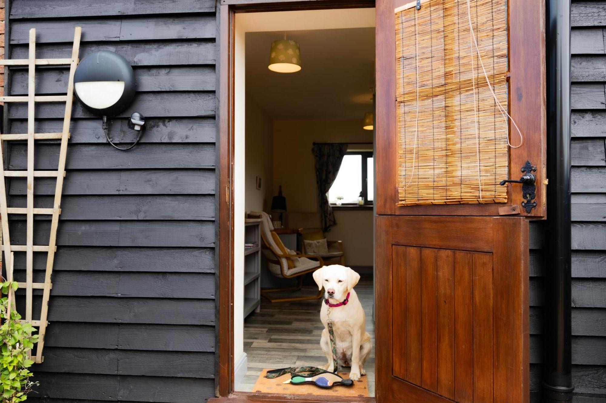Norfolk Accommodation Хийчам Екстериор снимка